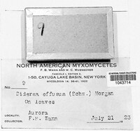 Image Associated With the Occurence